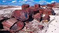 �ۤƴ˪L��a���� Petrified Forest National Park